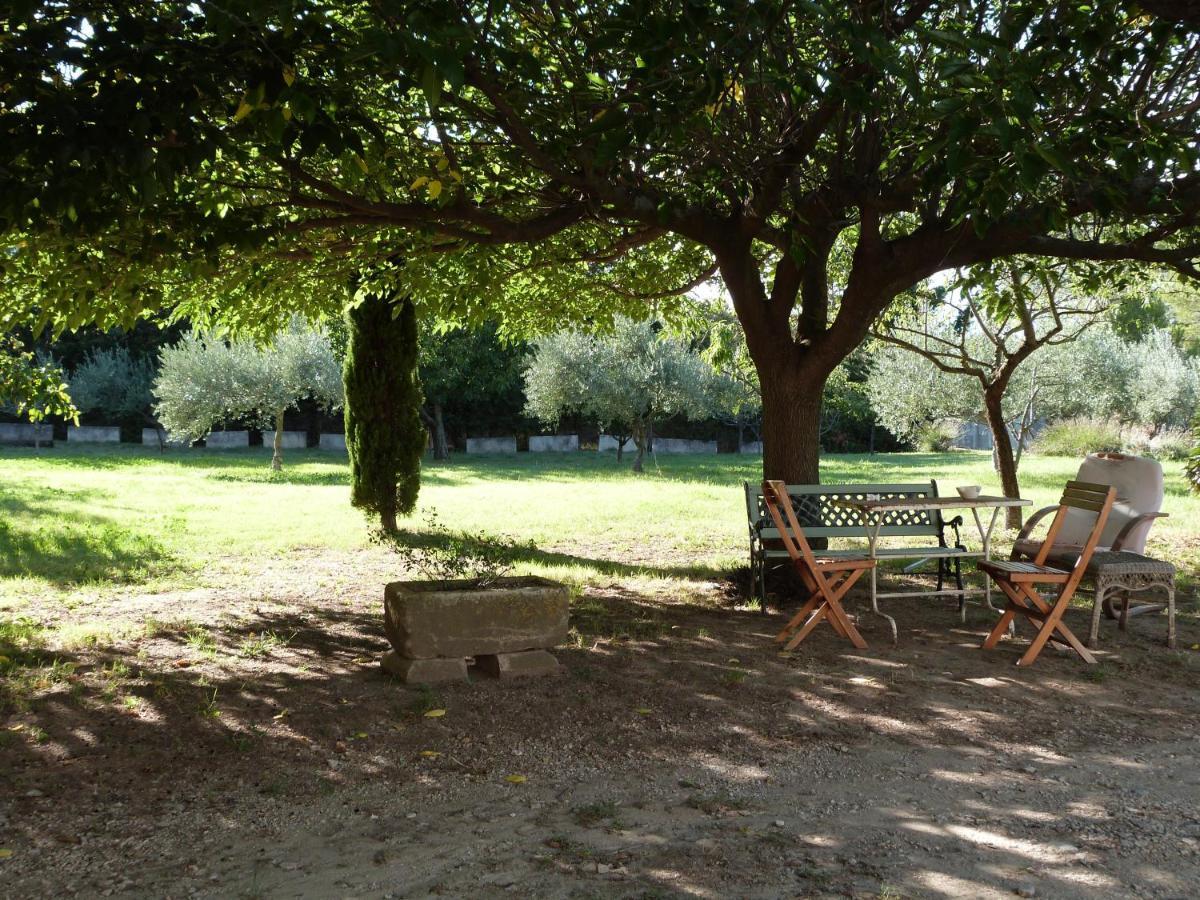 Le Mas Du Lac Saint-Rémy-de-Provence Dış mekan fotoğraf